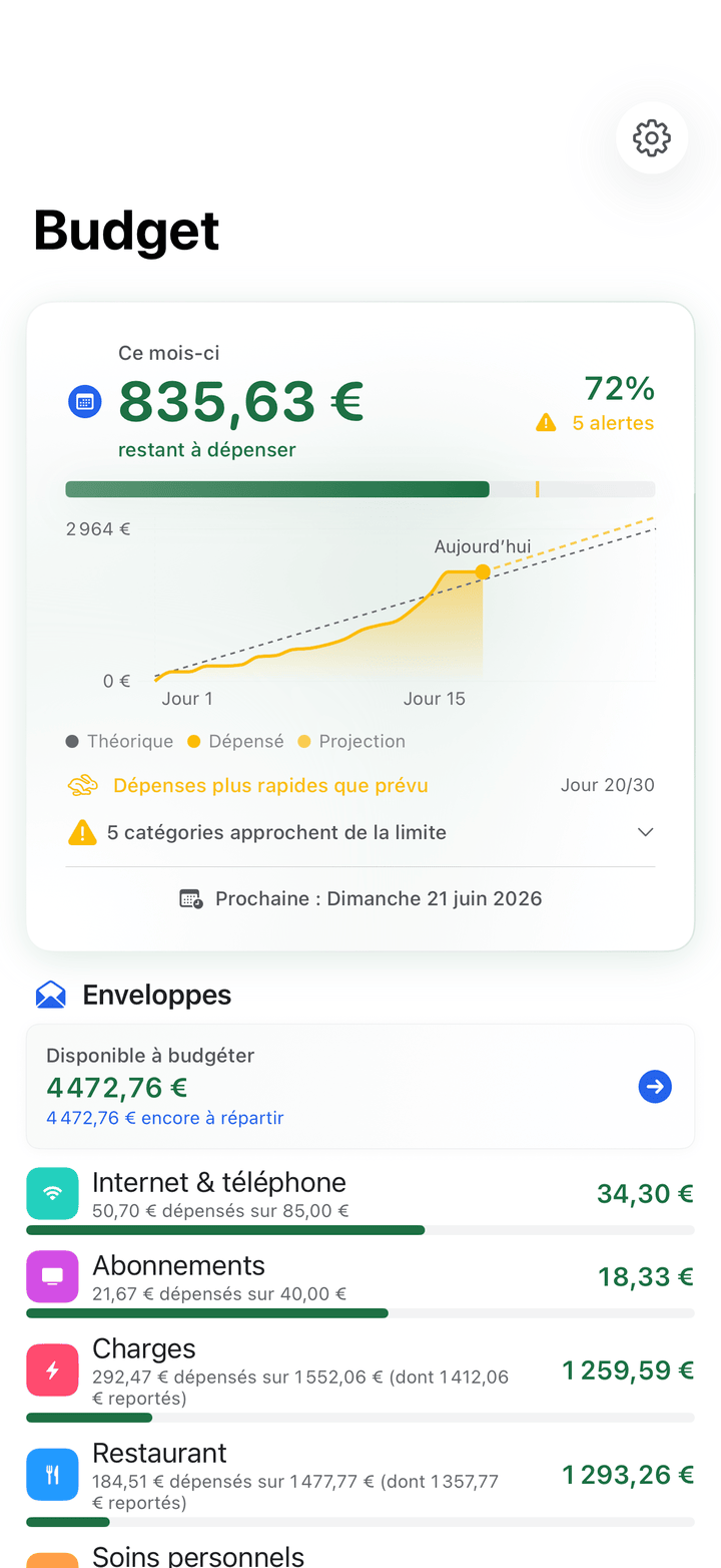 Envelope budgets with monthly progress on iPhone